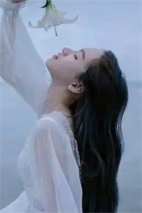梨花落尽空余恨最新阅读
