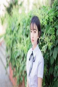 听闻落花时节不再逢君全新